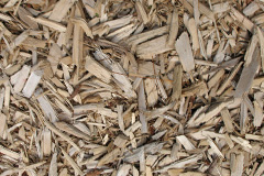 biomass boilers Suton